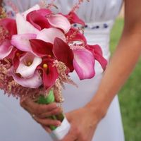 calas rosas
