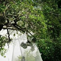 Decoración de nuestra  boda civil - 4