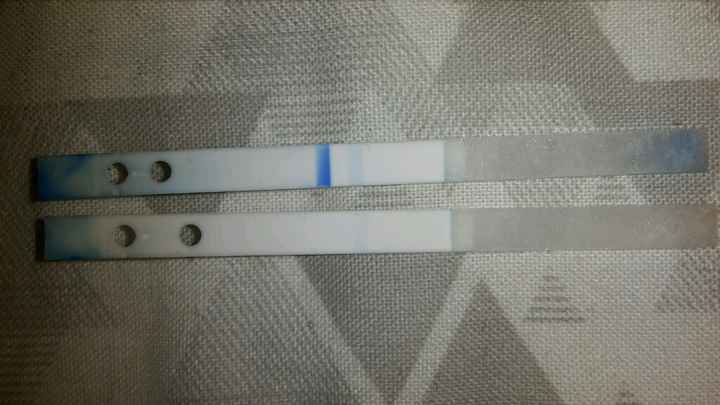 Prueba de embarazo digital, la destripamos - 1
