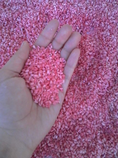 Arroz pintado