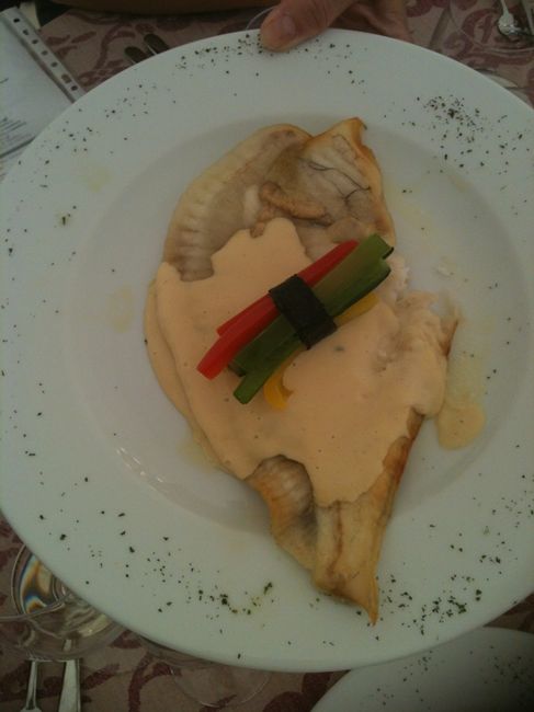 Rodaballo 1