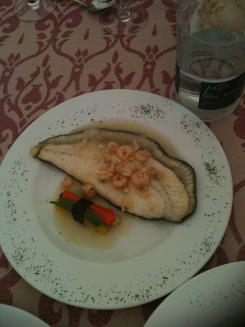Rodaballo 2