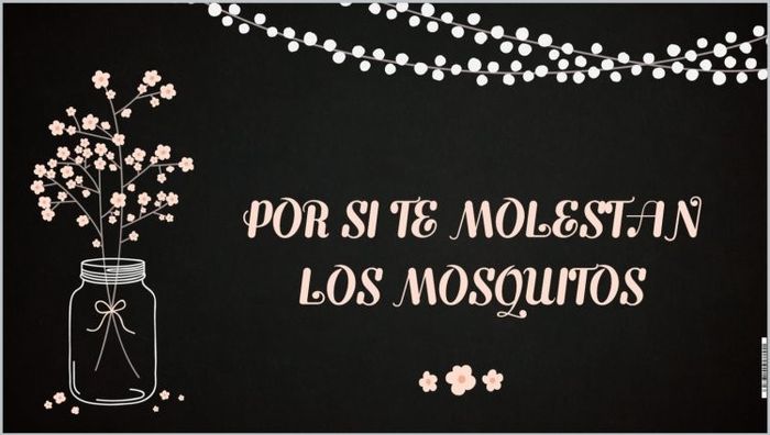 cartel antimosquitos