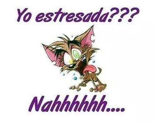 15 dias!!!! - 1