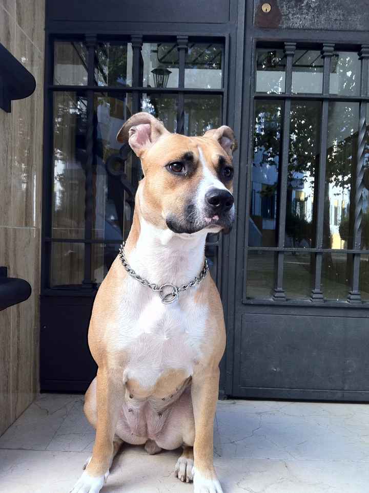 Mi niña