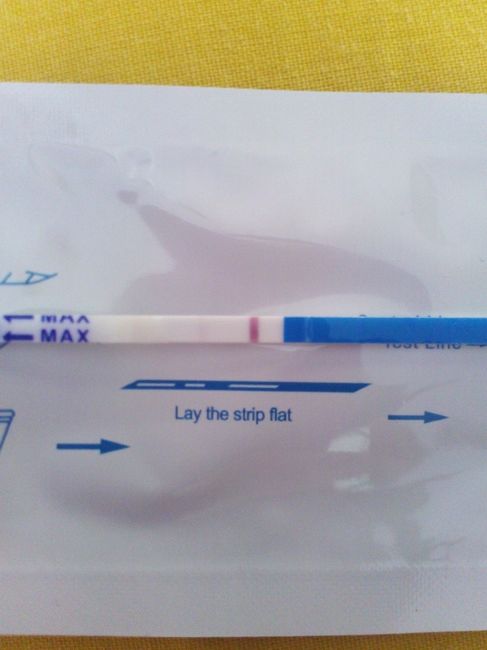 Mi test de embarazo