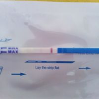 Mi test de embarazo