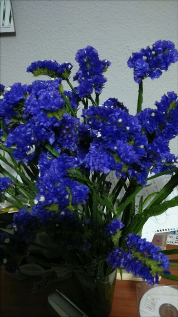 Qué flores son?? - 1