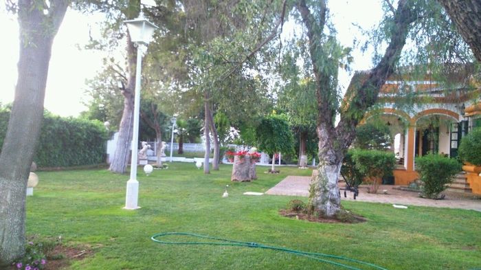 Y ese momento en que tienes que elegir donde casarte... - 4