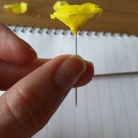 Flores de papel. detalle y alfileres  - 2
