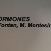Grupo de apoyo para buscadoras eternas (nuevo) - 2
