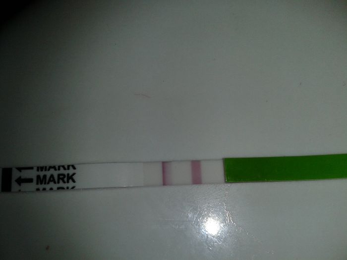 primer test de ovulacion