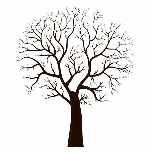 arbol 