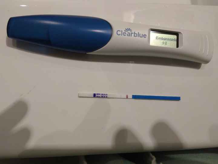 Test embarazo