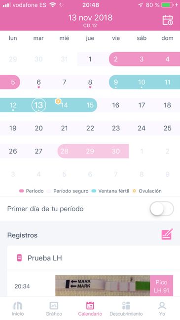 Buscadoras Noviembre 2018 - 1