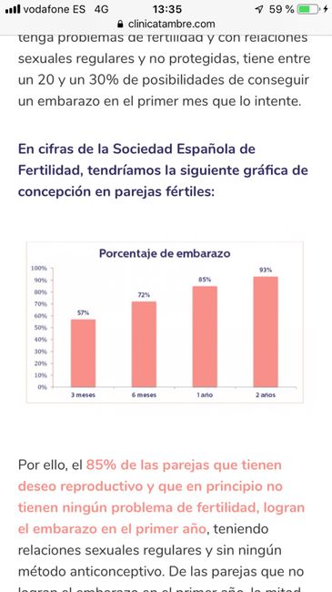 nuevo buscadoras Mayo 2019 2