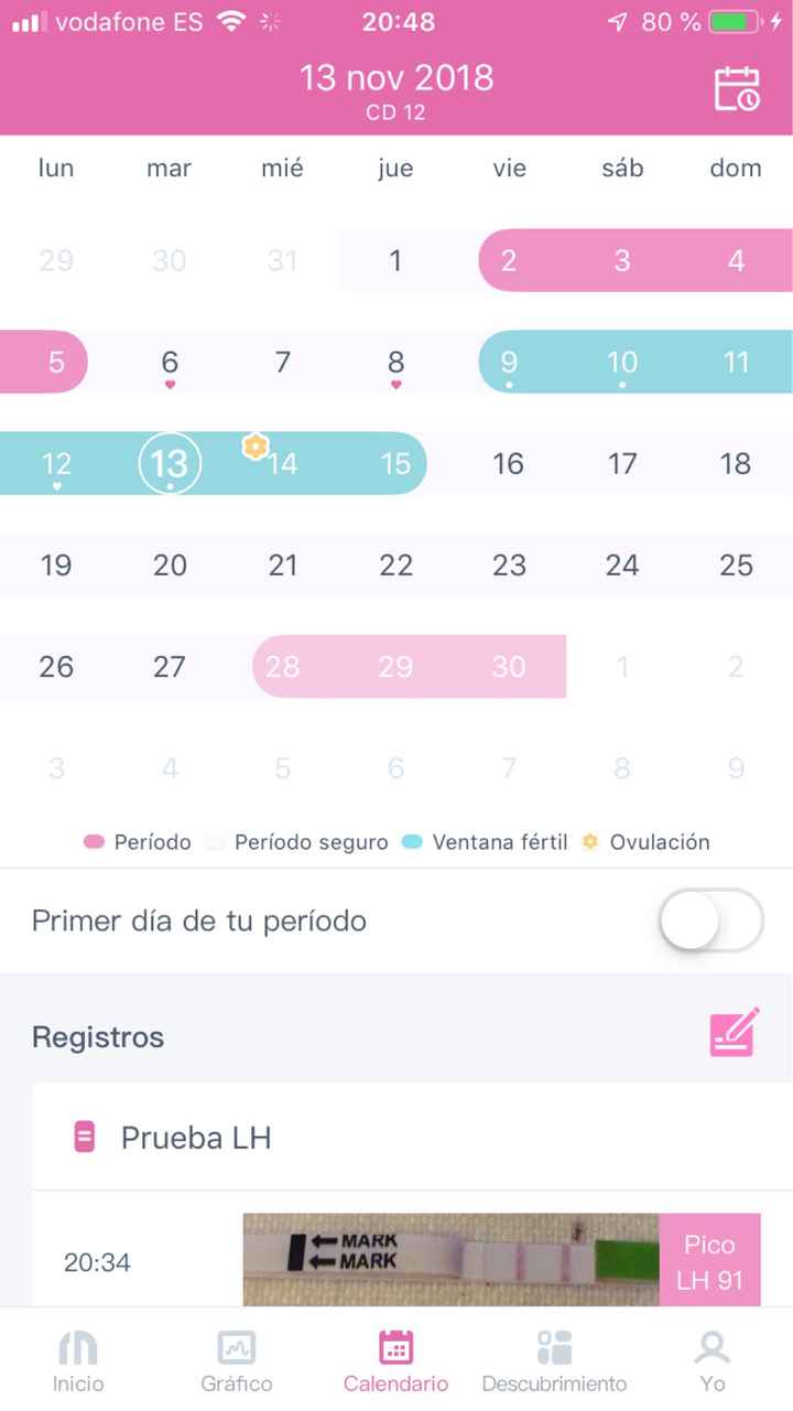 Buscadoras Noviembre 2018 - 1