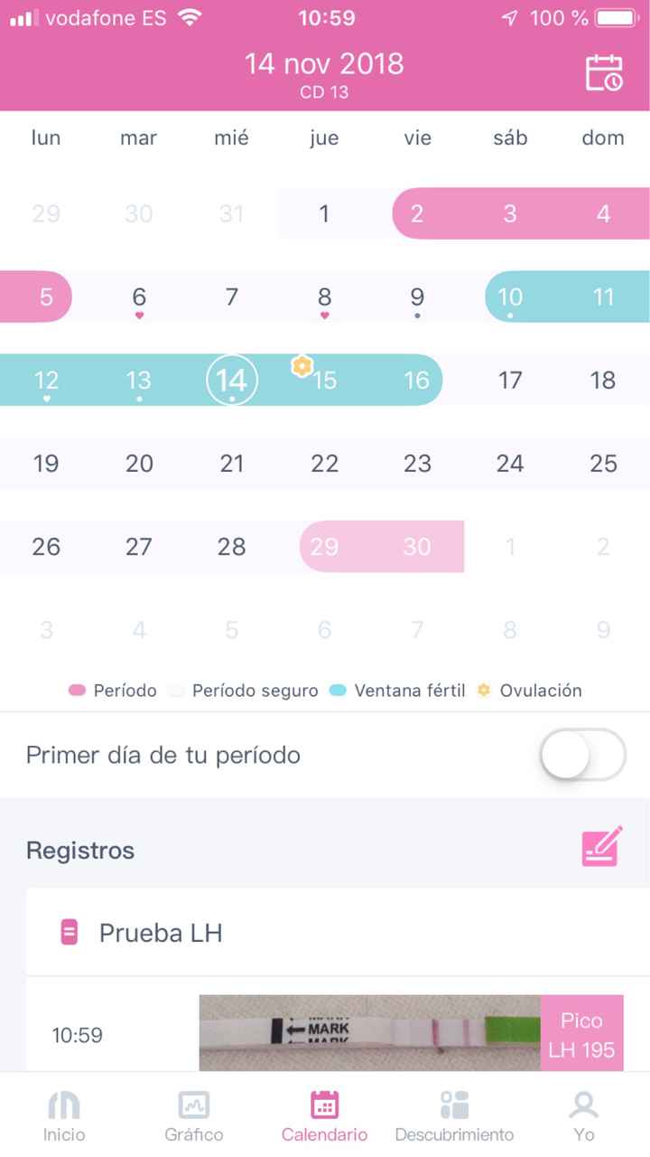 Buscadoras Noviembre 2018 - 2
