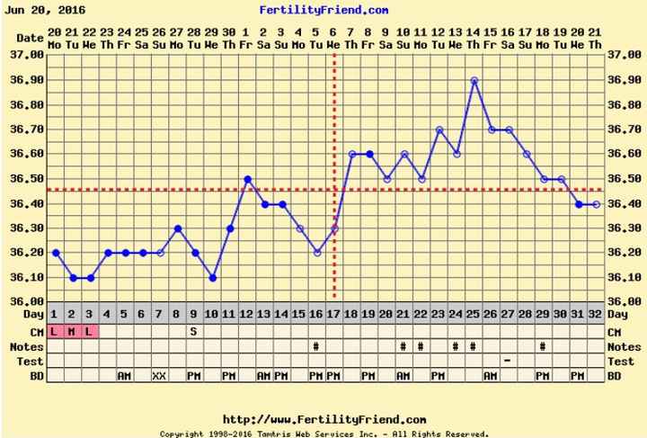 Resuelvo dudas con las gráficas de temperatura - 1