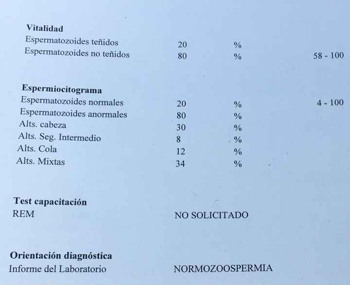 Buscadoras de un primer embarazo y tras muchos intentos no llega - 2