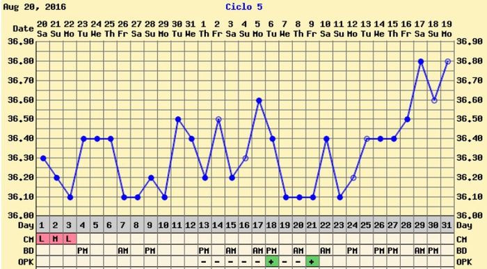 Resuelvo dudas con las gráficas de temperatura - 2