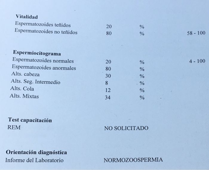Buscadoras de un primer embarazo y tras muchos intentos no llega - 2