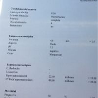 Buscadoras de un primer embarazo y tras muchos intentos no llega - 1