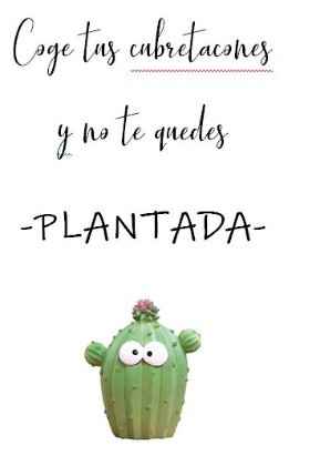CUBRETACONES