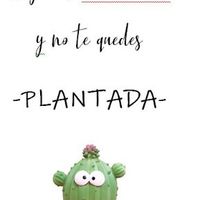 CUBRETACONES
