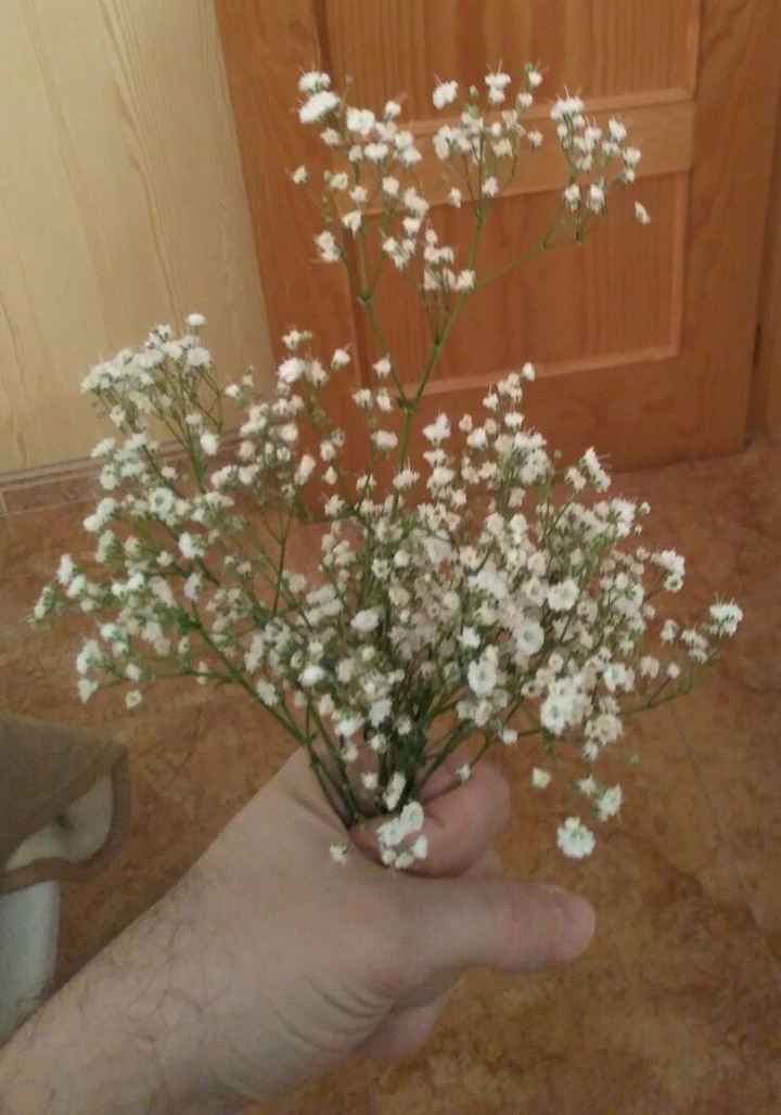 Mis flores secas, siempreviva y paniculata - Manualidades - Foro 