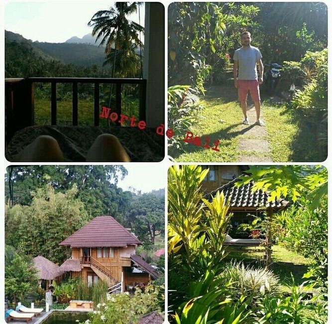 NORTE BALI