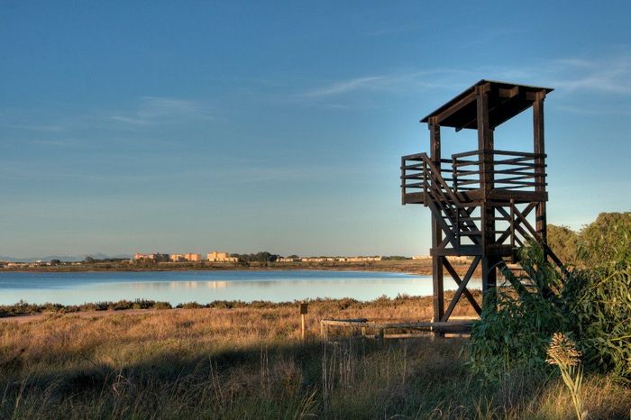 Preboda Torrevieja 2