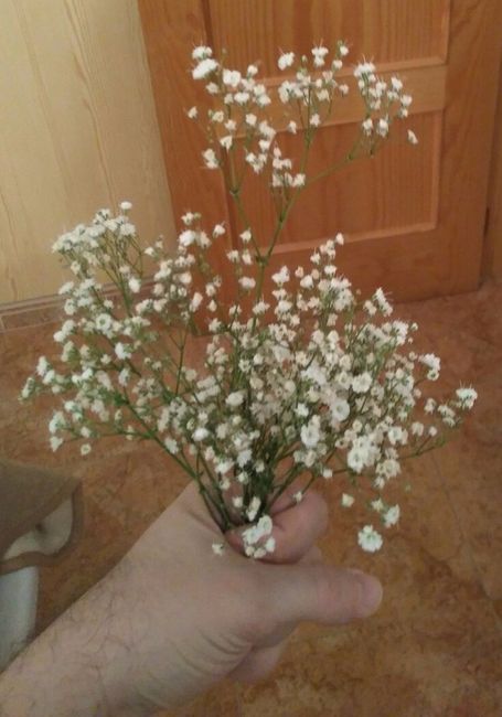 Mis Flores Secas, Paniculata