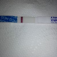 Buscadoras locas - 1