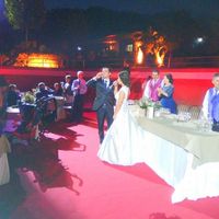 Mi banquete en una plaza de toros - 6