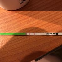 Omifin y to compatibles ? - 1