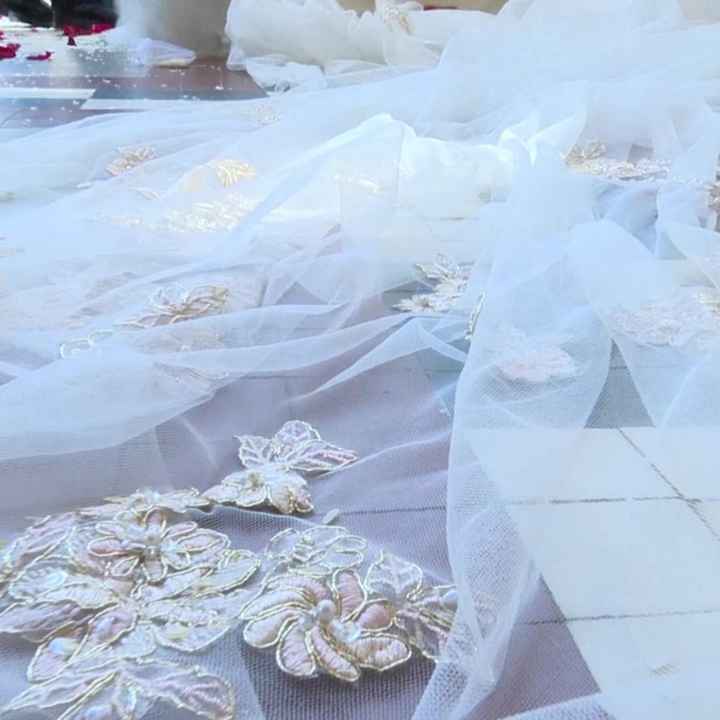 ¿Con qué tipo de vestido se pone el velo rosa? - 1