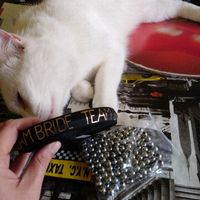 Mis pulseras para la despedida y los nombres de los invitados en madera - 2