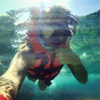 Snorkel en la barrera de coral