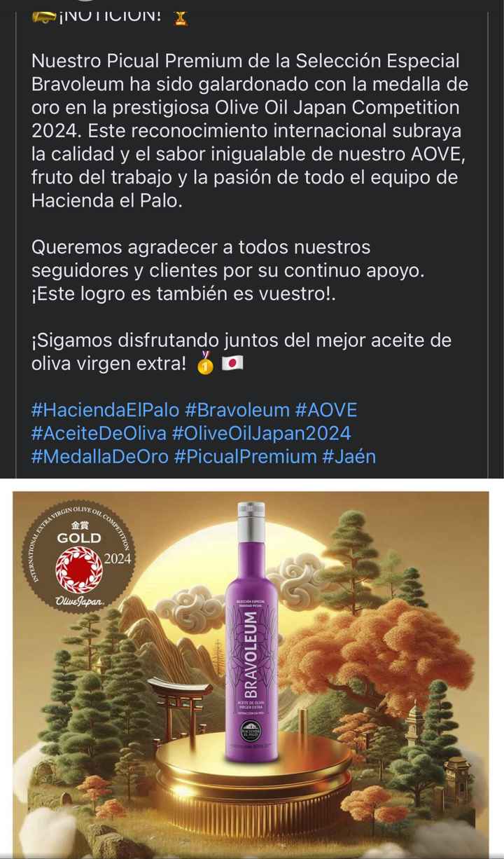 Llevarás velo? De qué forma? - 1