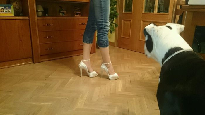 Xfin mis zapatos!! - 2