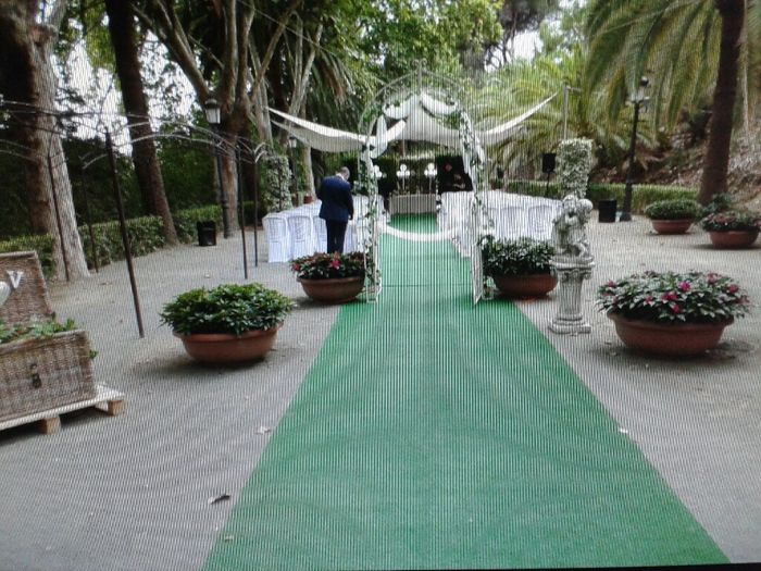 ¿ayuntamiento o jardín botánico en málaga? - 1