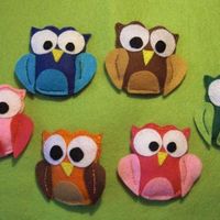 Broches Fieltro