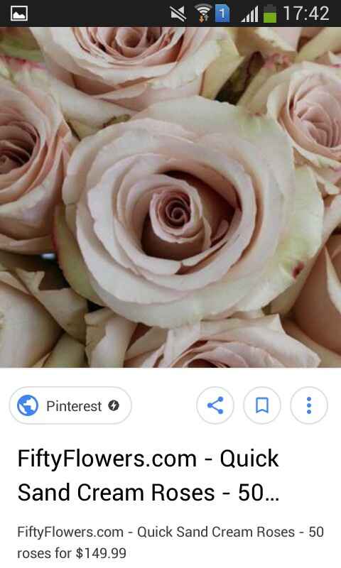 Alguien sabe como se llaman estas rosas? - 2