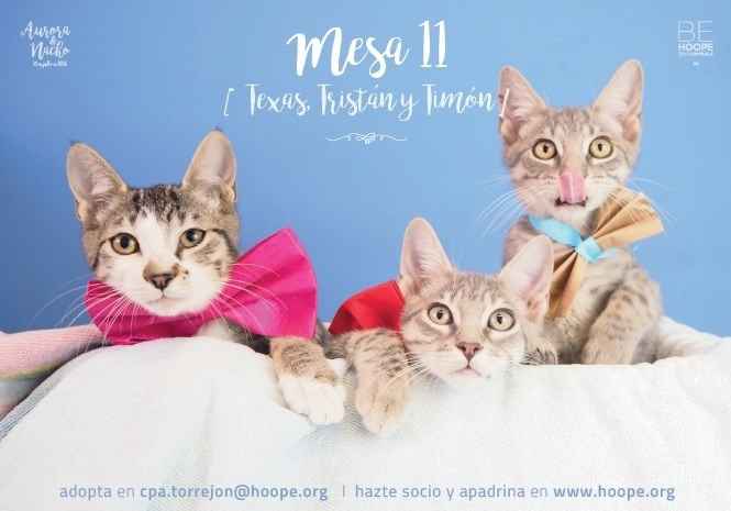 mesero peques