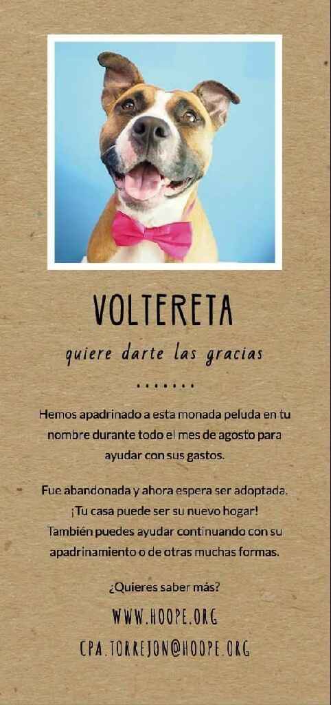 Detalles solidarios - 2