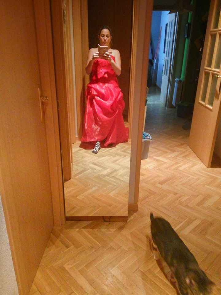 Vestido van para el baile - 3