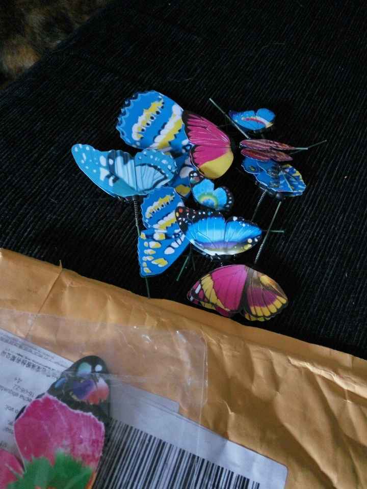Mi nido de mariposas para los anillos - 2