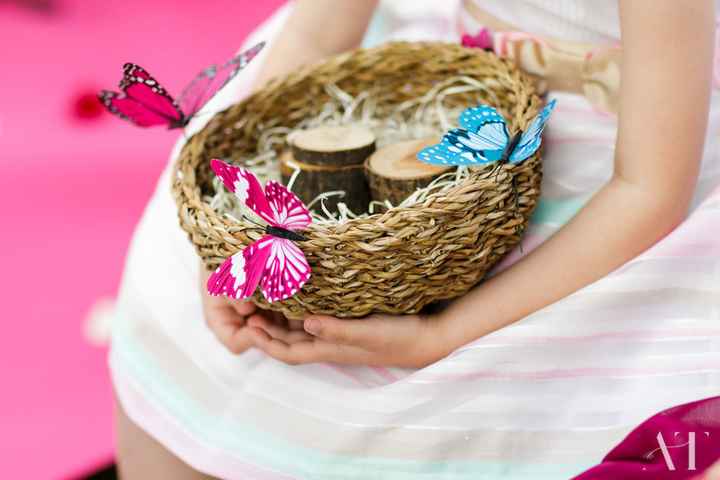 nido anillos