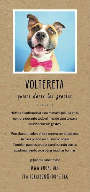 Detalles solidarios - 2